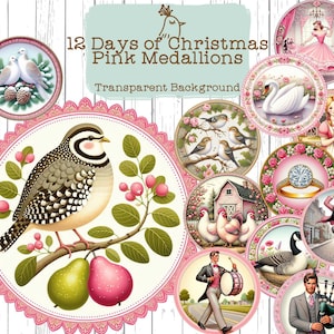 Classy Pink Round Medallion Frame 12 Twelve Days of Christmas Partridge Turtle Doves