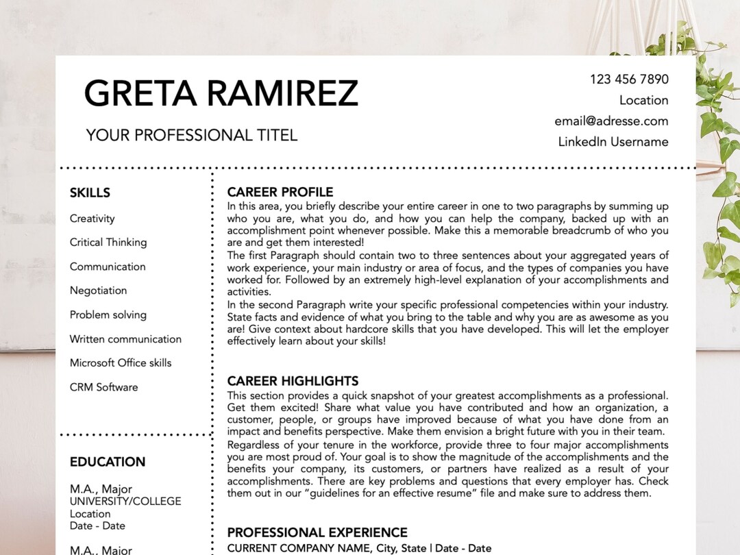 CV Template, CV Template Professional, CV Template Word, Mac Pages ...