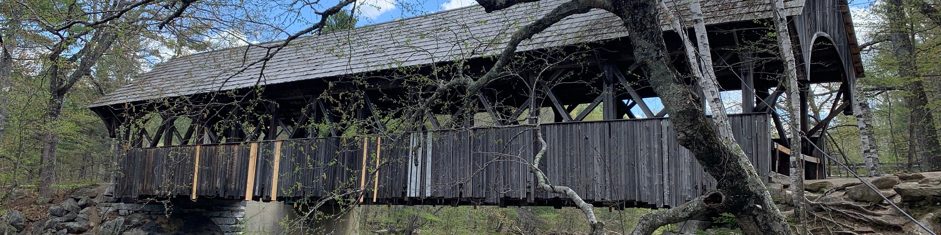 MainelyPinkies - Etsy 日本