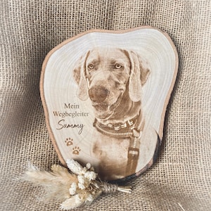 Könnte beinhalten: Eine Holzscheibe mit einem eingebrannten Bild eines Weimaraner Hundes. Unter dem Bild ist der Text "Mein Wegbegleiter Sammy" sowie drei Pfotenabdrücke eingraviert.