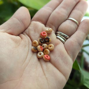 May include: A handful of miniature donuts with various toppings, including red frosting and chocolate glaze. The tiny, detailed treats are held in an open palm, showcasing their small size and intricate designs. The donuts are a mix of light brown and darker shades.