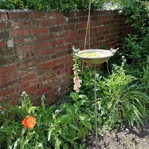 May include: A metal bird bath with two small bird figurines on the rim. The bath is on a tall metal stand and is surrounded by green plants and flowers, including a pink foxglove and an orange poppy.
