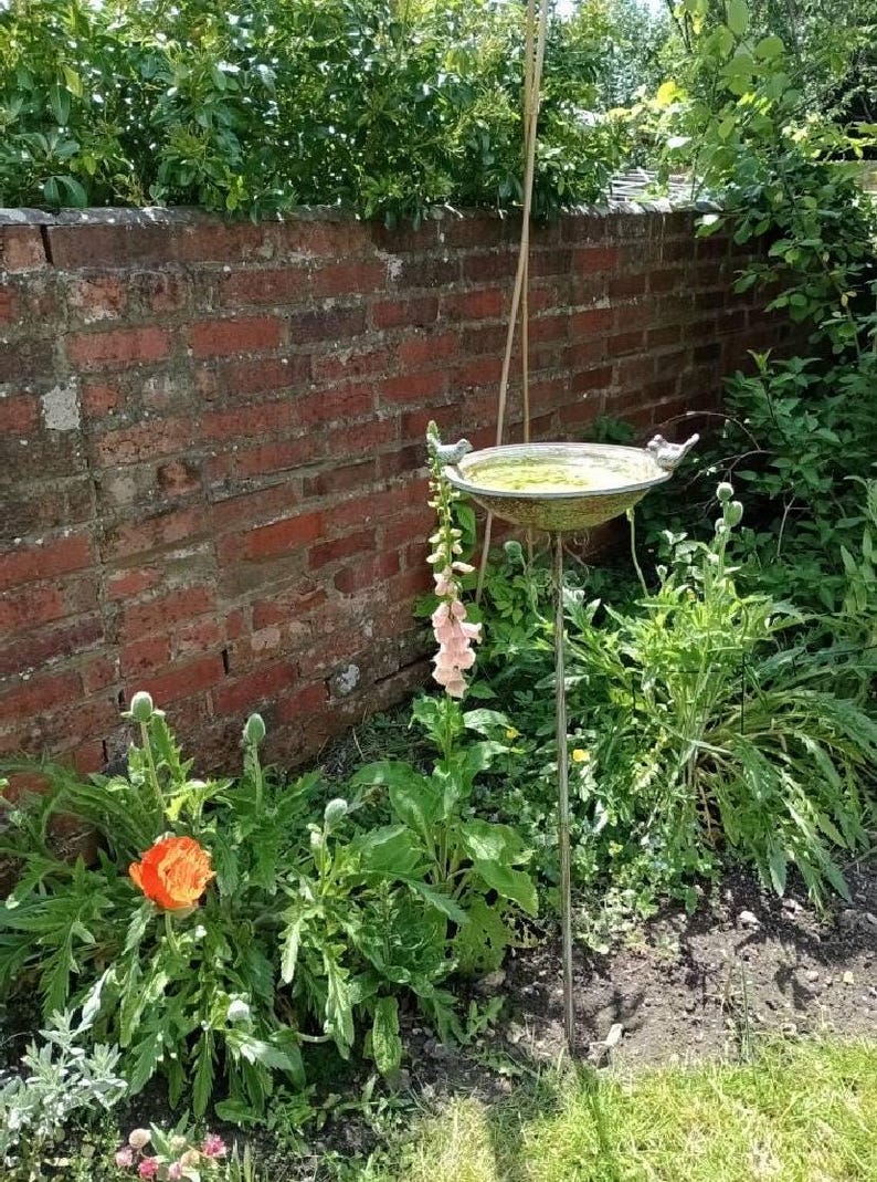May include: A metal bird bath with two small bird figurines on the rim. The bath is on a tall metal stand and is surrounded by green plants and flowers, including a pink foxglove and an orange poppy.