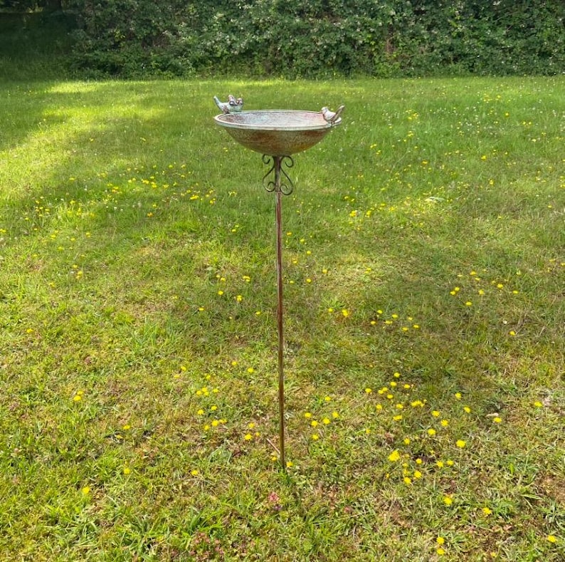 May include: A metal bird bath with two small bird figurines perched on the rim. The bath is mounted on a tall metal pole and is set against a backdrop of green grass.