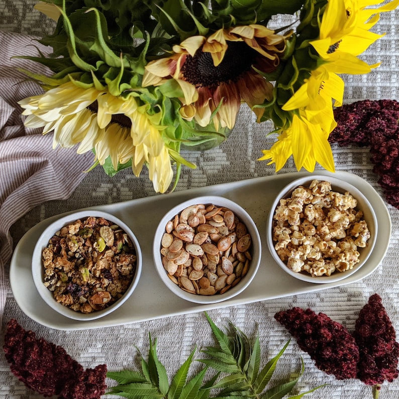 Staghorn Sumac Foraging & Recipe Guide Instant Download PDF