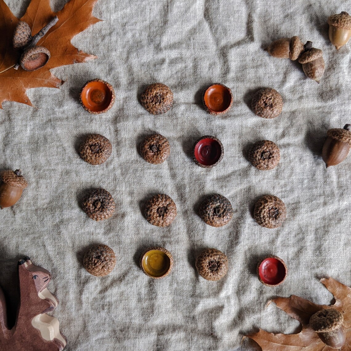 Acorn Process.pdf Acorn Activity Guide | Printable PDF | Instant Download | Nature Crafts ...