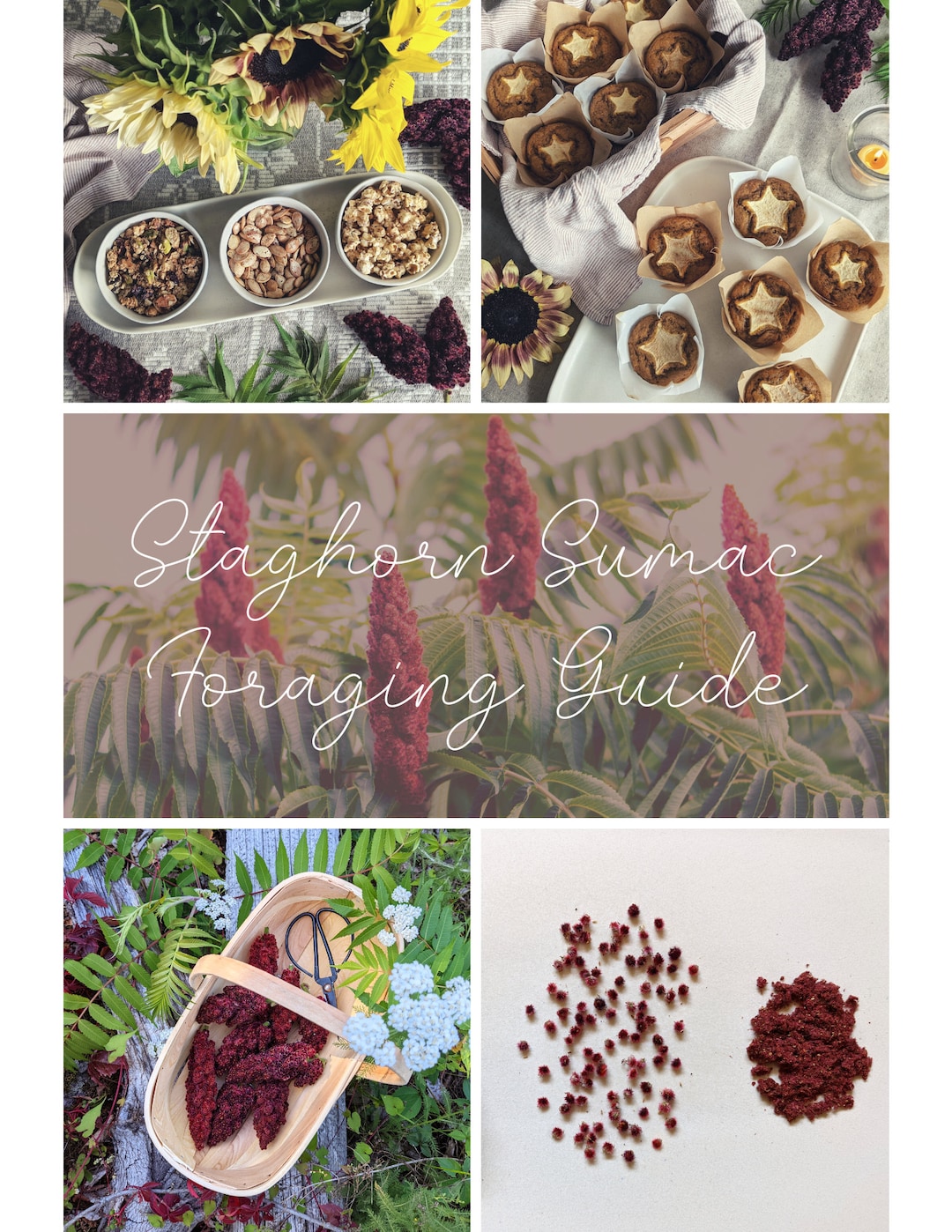 Staghorn Sumac Foraging & Recipe Guide Instant Download PDF