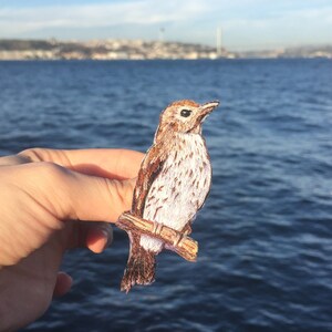 Ousel, Handmade, Embroidery, Brooch Pin, Birthday, Christmas, Gift, Lovely, Animal, Bird, Birdlover, Catlover, Doglover, EmbroideryArt