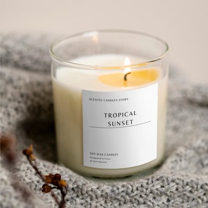 Handmade Soy Wax Candle - Tropical Sunset Scent | Cotton Wick, 40h | Made in France | Local Products | 30cl container