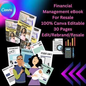 PLR Financial Management eBook -Done for You- Canva Editable Template - 30 Pages- Rebrand & Resale - 100 Financial Management Infographics