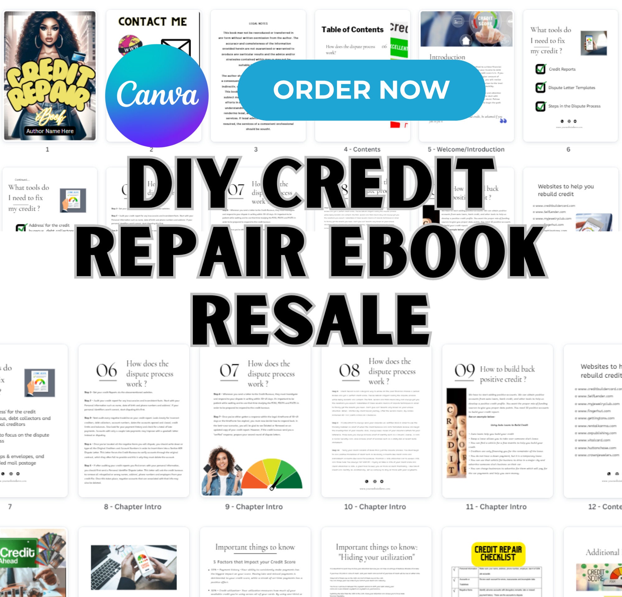 PLR Credit Repair Ebook, Canva Pro, for Resale, DIY Credit Repair Ebook