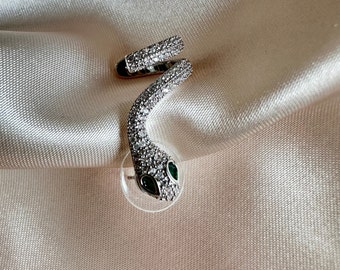 Orecchini a forma di serpente in acciaio inossidabile 304 all