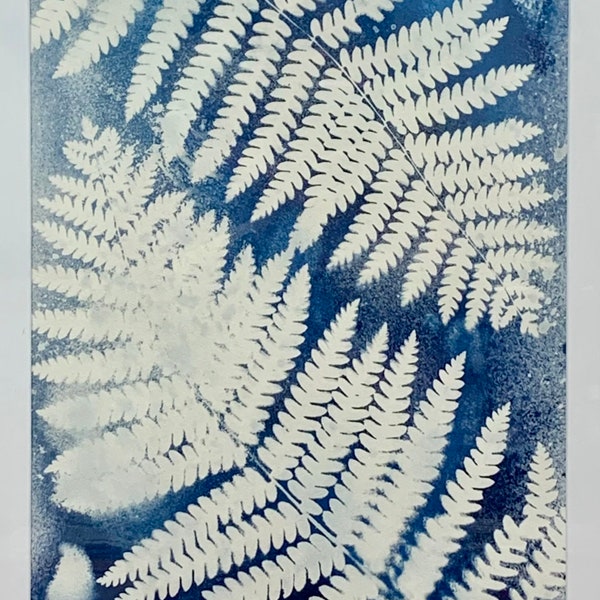 Ice Ferns