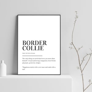 Border Collie Definition Print Poster