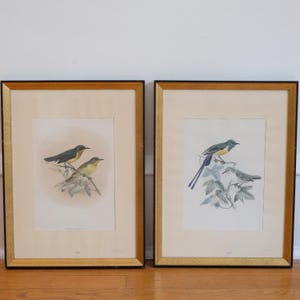 May include: Two framed prints featuring detailed bird illustrations. The left print shows two small birds with yellow and dark plumage on a branch. The right print depicts two birds with blue, yellow, and grey feathers perched on foliage. Both have gold frames.