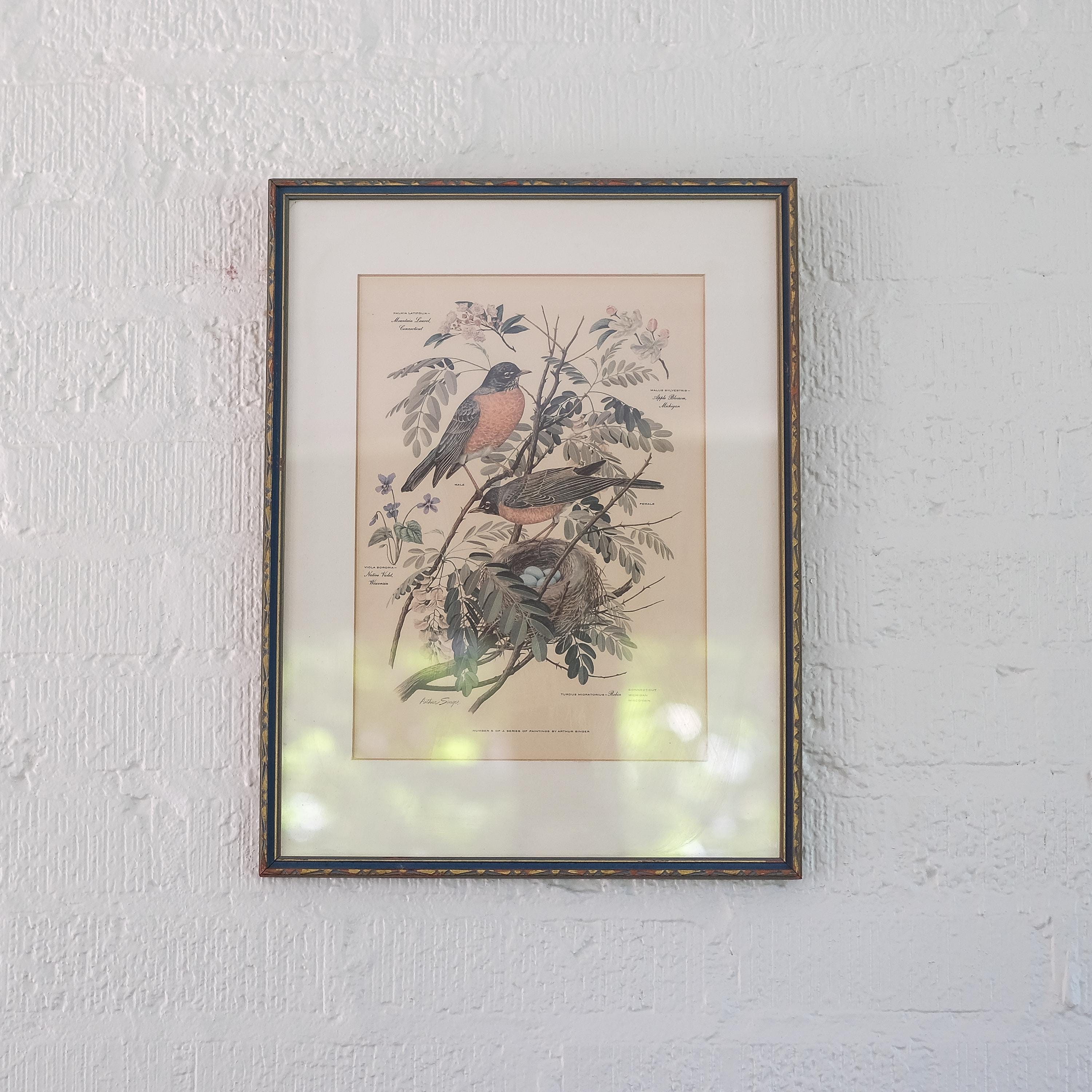 Arthur Singer Bird Prints - Etsy