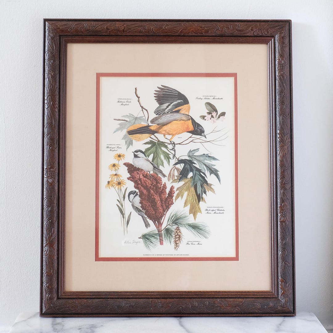 Vintage Arthur Singer Bird Art, Framed Bird Print, Botanical Wall