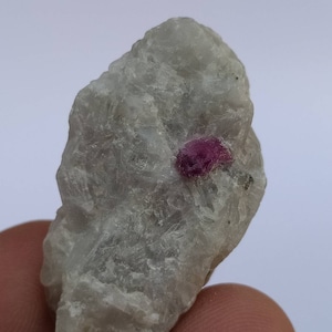 May include: A rough, light gray mineral specimen with a small, vibrant red ruby crystal embedded within. The ruby is the focal point, contrasting with the muted tones of the host rock. The texture of the mineral appears coarse.