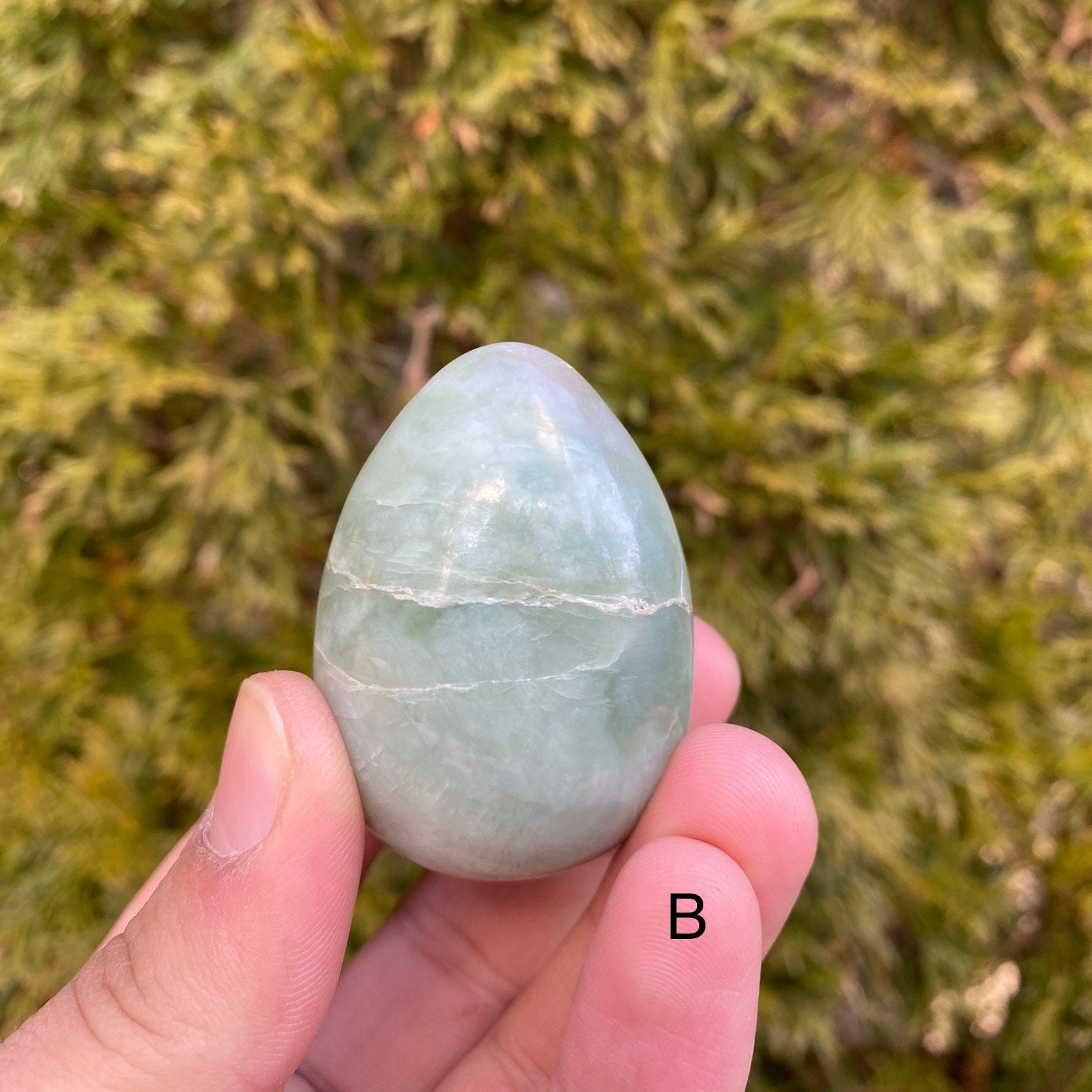 Jade Egg Jade Egg Home Decor Original Jade Egg Natural Etsy