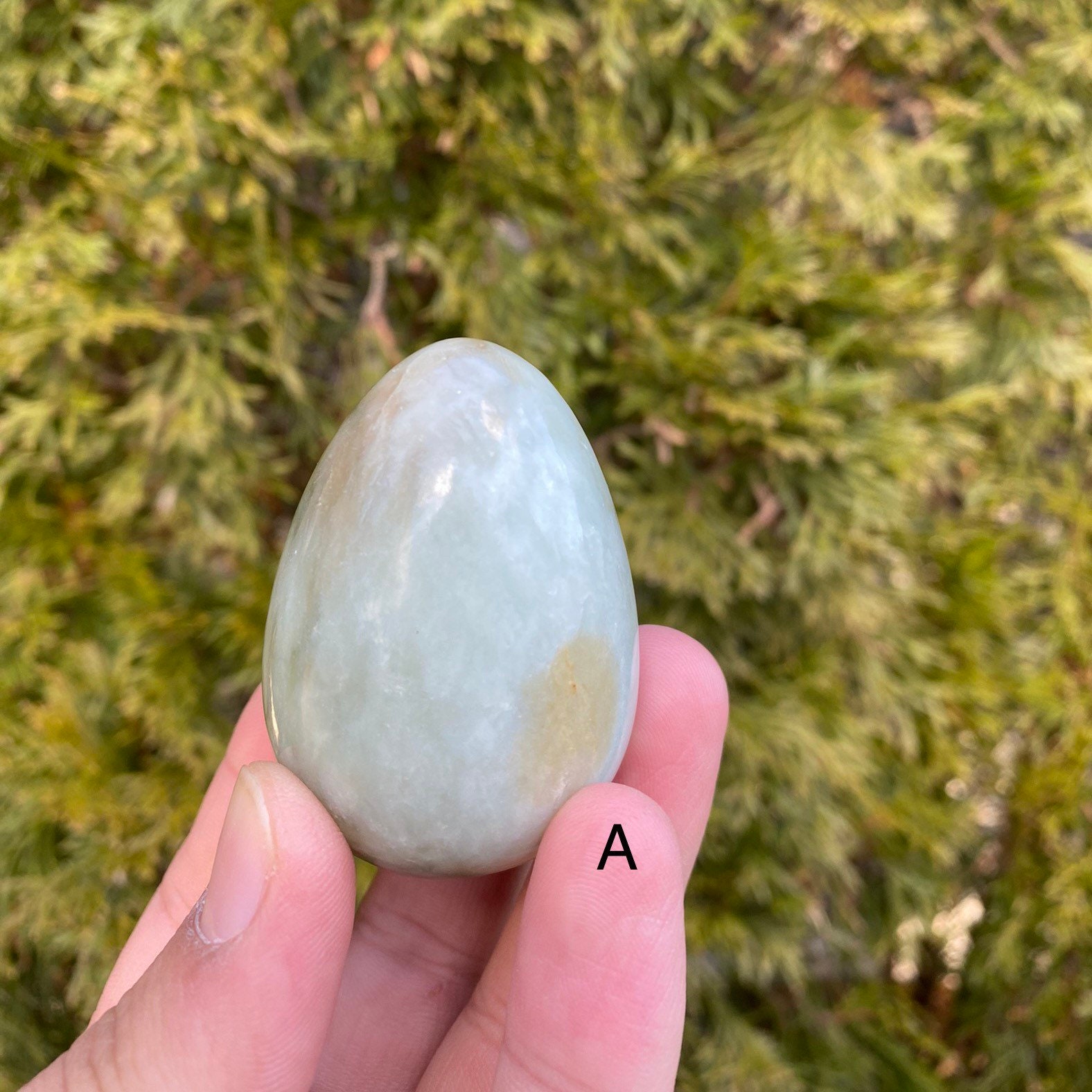 Jade Egg Jade Egg Home Decor Original Jade Egg Natural Etsy