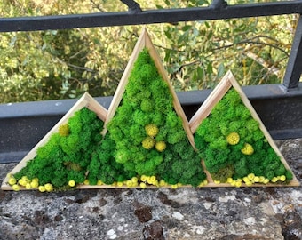 Moss Wall Art Living, Nature Lover Gift, Preserved Moss Centerpiece, Yellow Floral Home Decor, Living Wall Plant