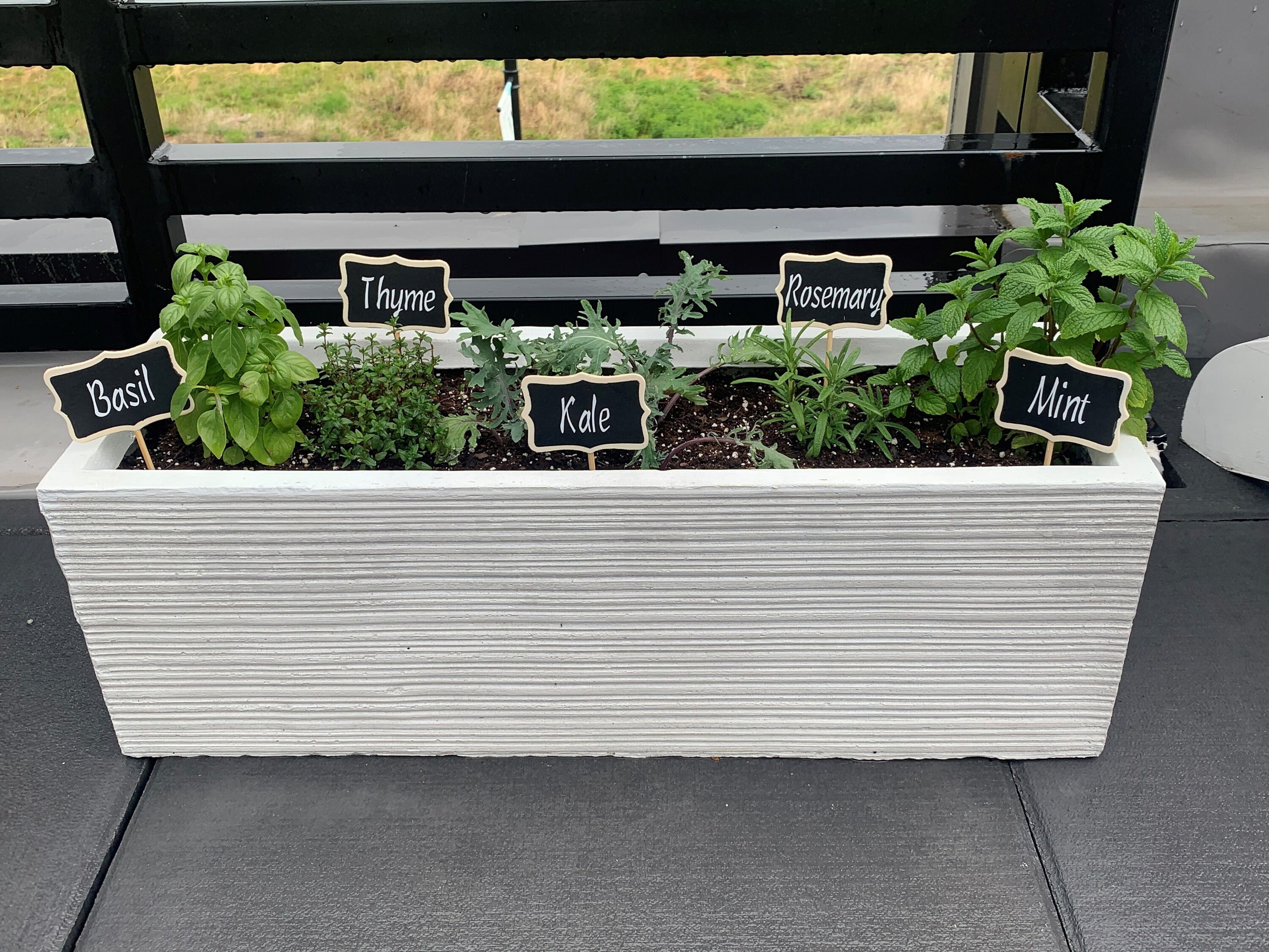 Garden Label Stakes Etsy