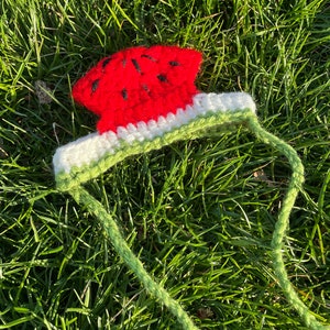 Cat Watermelon Hat - Available for All Pets - Dog / Cat / Pet Hat