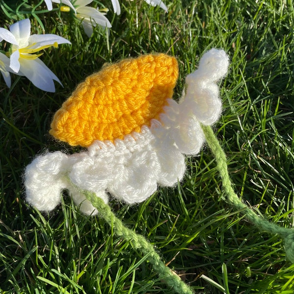 Cat Daisy Hat - Available for All Pets - Dog / Cat / Pet Hat