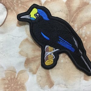 May include: An embroidered patch featuring a black bird with a yellow crown, blue head accents, and blue wing details, perched on a brown branch. The bird has a black beak and is outlined in a thick black border with a stitched finish.