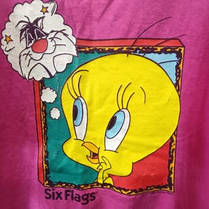 Vintage 90s Tweety Bird Sylvester T.shirt Six Flags Warner Bros Large