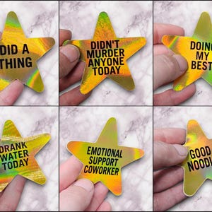 May include: Six gold holographic star-shaped stickers with different humorous phrases printed on them. The phrases are "Did a thing", "Didn't murder anyone today", "Doing my best", "Drank water today", "Emotional support coworker", and "Good noodle".