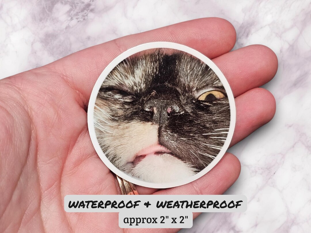 Blep Cat Stickers, Calico Cat Sticker, Tortoiseshell Cat Sticker ...