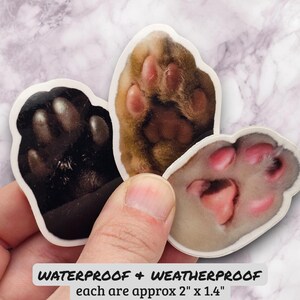 May include: Three waterproof and weatherproof stickers featuring close-up images of cat paws. The stickers are approximately 5 cm by 3.5 cm. The paw pads are pink and the fur is black, brown, and white.