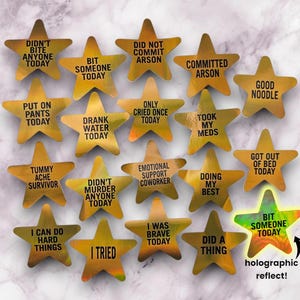 Gold Star Stickers, holographic stickers, reward stickers, did not commit arson, didnt bite anyone today, I tried, good noodle, novelty gift