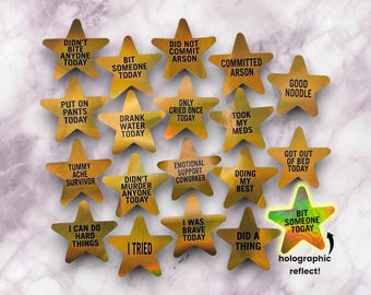 Adesivos Estrela Dourada, adesivos holográficos, adesivos de recompensa, não cometi incêndio criminoso, não mordi ninguém hoje, tentei, macarrão bom, presente original