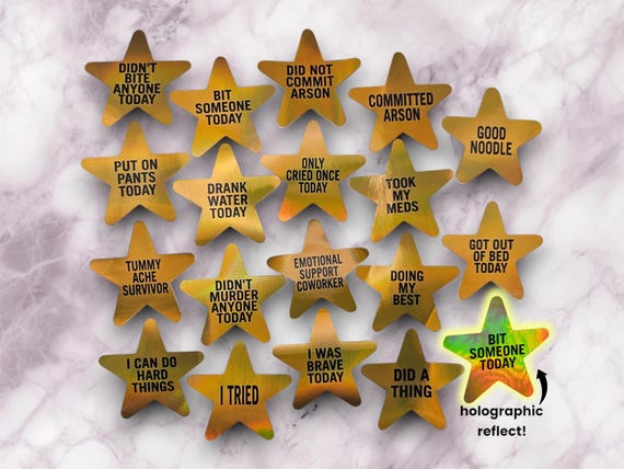 Gold Star Stickers, holographic stickers, reward stickers, did not commit arson, didnt bite anyone today, I tried, good noodle, novelty gift