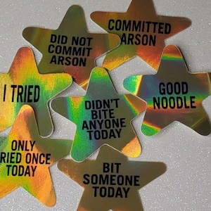 Gold Star Stickers, holographic stickers, reward stickers, did not commit arson, didnt bite anyone today, i tried, good noodle, novelty gift