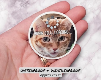 Brain Cell Loading Cat Stickers, sticker meme, sticker amoureux des chats, sticker chat orange, stickers chats pour bouteille d'eau, cadeau pour les amoureux des chats