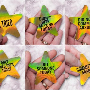 May include: Six iridescent gold star-shaped stickers with different humorous sayings. The sayings are: "I Tried", "Didn't Bite Anyone Today", "Only Cried Once Today", "Bit Someone Today", "Did Not Commit Arson", and "Committed Arson".