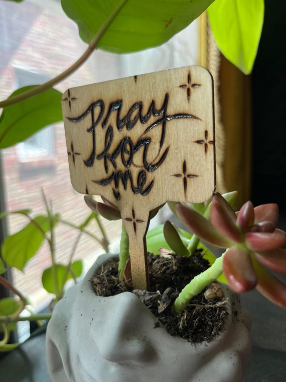 Pray for Me Plant Billboard - Etsy Canada