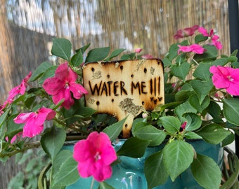 Panneaux d'affichage pour plantes PYROGLAM