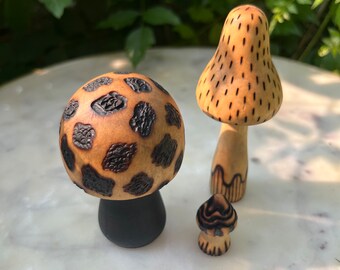 Phat Mushies Set 3