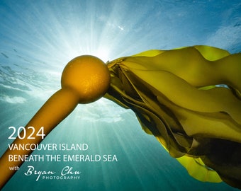 2024 Vancouver Island Underwater Calendar - Beneath the Emerald Sea - Ocean Scenes and Cute Critters - 8.5x11"