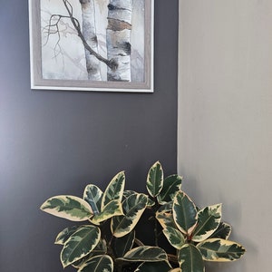 May include: A framed watercolour painting of two birch trees in a snowy forest hangs on a dark grey wall. A potted plant with variegated leaves sits on a dark blue surface in the corner of the room.