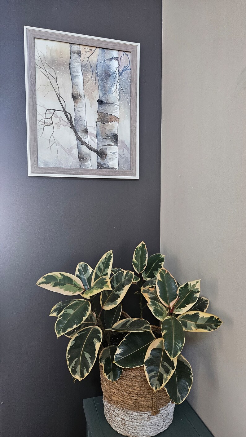 May include: A framed watercolour painting of two birch trees in a snowy forest hangs on a dark grey wall. A potted plant with variegated leaves sits on a dark blue surface in the corner of the room.