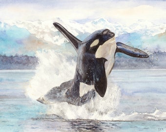 Orca Whale Watercolor Art Print: Canadian Wildlife Art