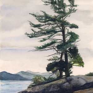 松の木の水彩画、岩の多い風景のアートプリント、静かな自然の風景、カナダの荒野のアート、水彩画の山の景色、壁アート