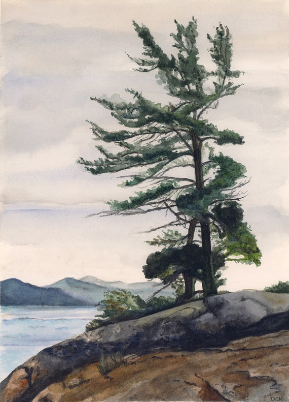 Pine Tree Watercolor Painting: Canadian Muskoka Landscape Art Print