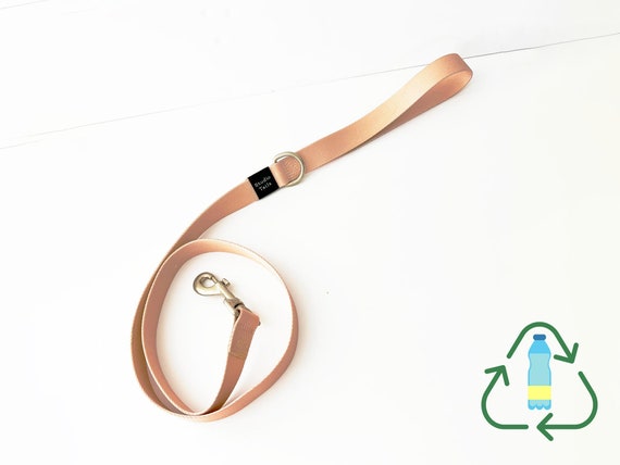Natural Sands: Eco-Friendly Beige Tan Dog Leash from Recycled Plastics