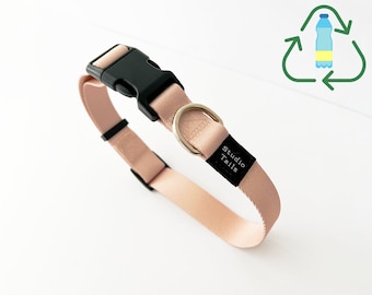 Natural Sands: Eco-Friendly Dog Collar from Recycled Plastics